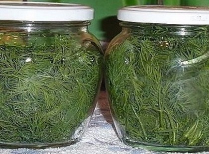 Hónapokig eltartható a kapor fagyasztás nélkül is! Így csináld!