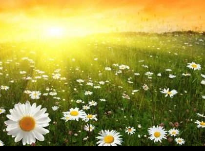 Holnap már 20 fok jön! Itt az előrejelzés