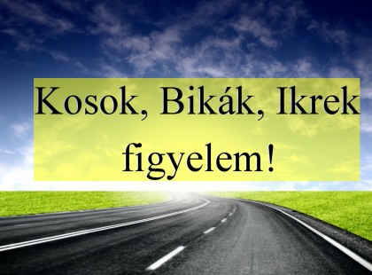 Kosok, Bikák, Ikrek figyelem!
