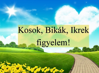 Kosok, Bikák, Ikrek figyelem!