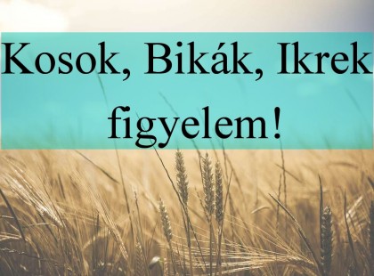 Kosok, Bikák, Ikrek figyelem! Holnapi horoszkóp