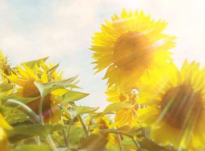 Hétvégére vissaztér a + 20 fok .Itt az előrejelzés