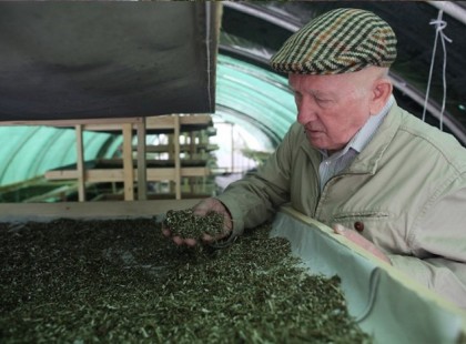 Végre egy igazán hasznos naptár a Bükki füvesembertől!