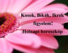 Kosok, Bikák, Ikrek figyelem! Holnapi horoszkóp