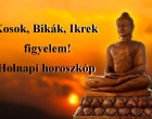 Kosok, Bikák, Ikrek figyelem! Holnapi horoszkóp