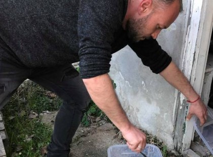 Sok­koló lát­vány Pest me­gyé­ben: 34 kí­gyóra buk­kan­tak egy fé­szer­ben