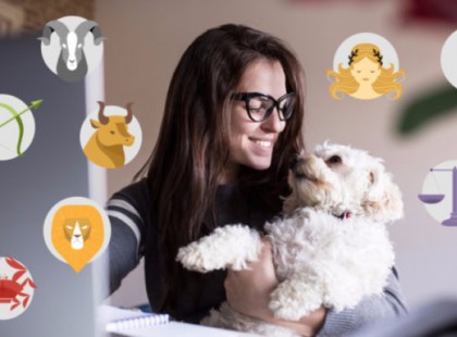 Csak ebben az 5 csillagjegyben bíz meg, mert tisztességesek, becsületesek és őszinték is.