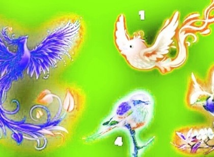 Melyik madarat választanád? Érdekes személyiségteszt, ami megmutatja milyen ember vagy