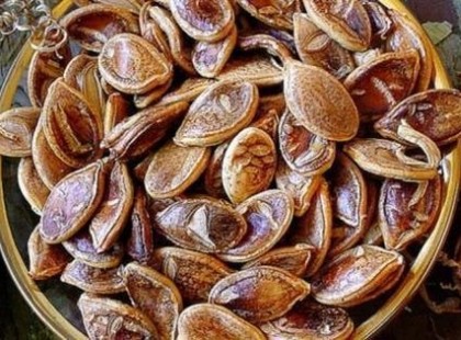 ÁSATÁSOK SORÁN 800 ÉVES MAGOKAT TALÁLTAK A FÖLDBEN. ELÜLTETTÉK ŐKET, NÉZD MEG MI LETT BELŐLÜK