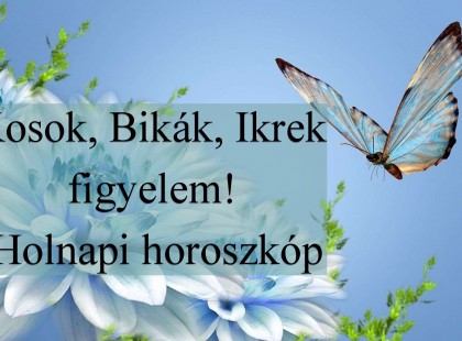 Kosok, Bikák, Ikrek figyelem! Holnapi horoszkóp