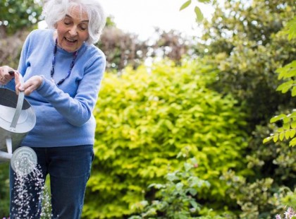 Rendszeresen kertészkedett a nagymamám. 70 éves korában az orvos meglátta a leleteit és ezt mondta: