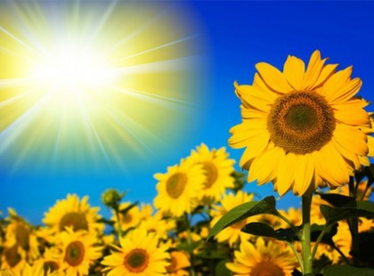 Fantasztikus hír ! Húsvét hétvégén 22 fok lesz - ragyogó napos idő <3