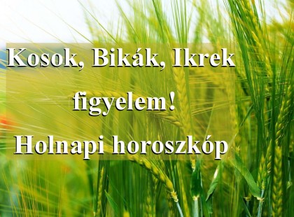 Kosok, Bikák, Ikrek figyelem! Holnapi horoszkóp