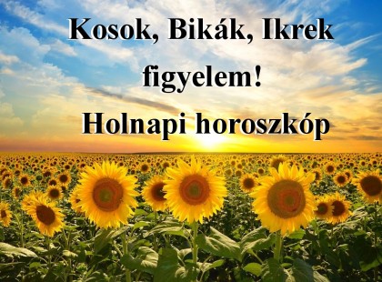 Kosok, Bikák, Ikrek figyelem! Holnapi horoszkóp