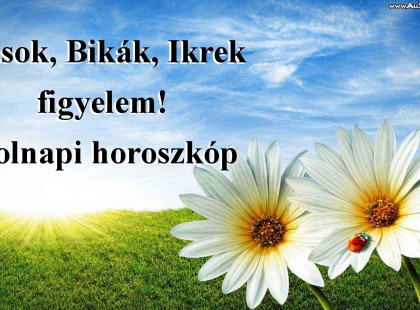 Kosok, Bikák, Ikrek figyelem! Holnapi horoszkóp