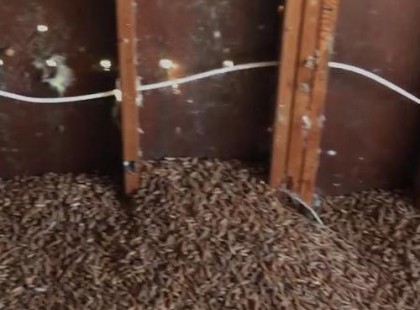 A ház tulaját aggasztják a lyukak a falban - leszedi hát a szigetelést, mi pedig leesünk a székről a nevetéstől