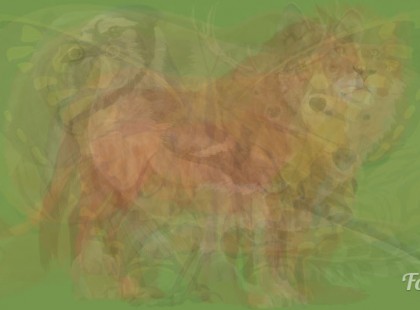 Milyen állatot látsz meg először a képen? Elárulja a személyiséged rejtett titkait!