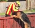 A kutya gazdája filmre veszi mit csinál a postás a kutyájával – a felvétel most futótűzként terjed a neten