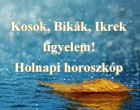 Kosok, Bikák, Ikrek figyelem! Holnapi horoszkóp