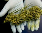 A kannabisz 6 megdöbbentő hatása, melyről mélyen hallgatnak