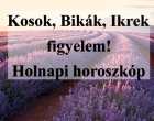 Kosok, Bikák, Ikrek figyelem! Holnapi horoszkóp