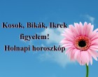 Kosok, Bikák, Ikrek figyelem! Holnapi horoszkóp