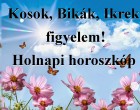 Kosok, Bikák, Ikrek figyelem! Holnapi horoszkóp