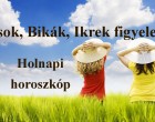 Kosok, Bikák, Ikrek figyelem! Holnapi horoszkóp