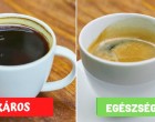 8 fontos tény, amit minden kávézónak tudnia kell
