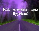 Rák - oroszlán - szűz figyelem! Holnapi horoszkóp