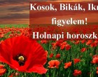 Kosok, Bikák, Ikrek figyelem! Holnapi horoszkóp