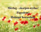Mérleg - skorpió-nyilas!Figyelem! Holnapi horoszkóp