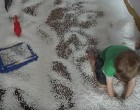 A fiú ikertestvérek felszakítanak egy babzsákot, hogy a játékdínók megtapasztalhassák a jégkorszakot