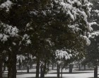 Magyarországon is havazik!! Itt vannak az első felvételek a magyarországi havazásról