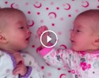 Tündéri beszélgetést - folytatott a baba ikerpár