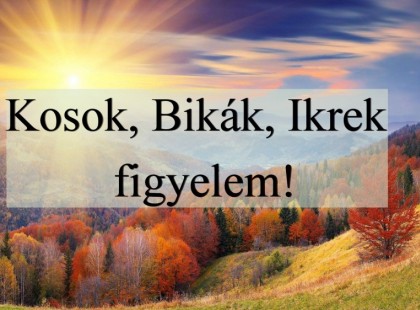 Kosok, Bikák, Ikrek figyelem! Holnapi horoszkóp