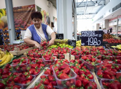 Mázsaszám csomagolják át a 300 forintos spanyol epret a nagybanin, így lesz belőle 1800 forintos magyar gyümölcs