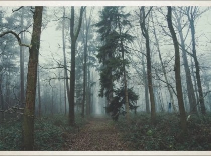 Csak az emberek pár százaléka látja a rókát ezen a képen. Vajon neked sikerül?