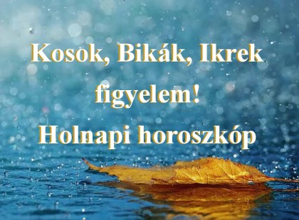Kosok, Bikák, Ikrek figyelem! Holnapi horoszkóp