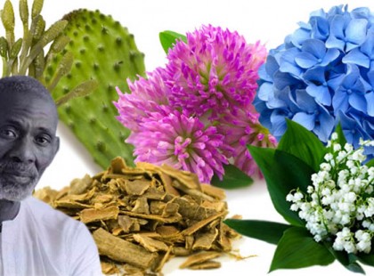 Az orvos, aki a természet erejével, gyógyszerek nélkül képes volt gyógyítani minden betegséget