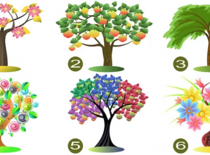 VÁLASSZ EGY FÁT! DÖNTÉSEDBŐL KIDERÜL, MILYEN TULAJDONSÁGBAN VAGY A LEGERŐSEBB