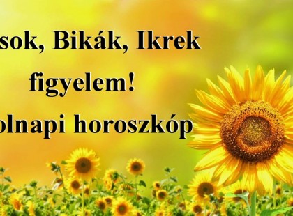 Kosok, Bikák, Ikrek figyelem! Holnapi horoszkóp