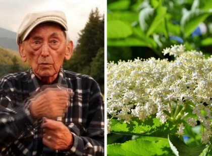 Híres román fitoterapeuta: “A bodzatea sokkal jobb, mint az aszpirin”