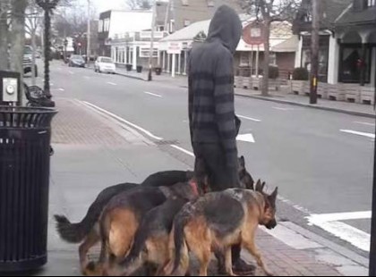 Úgy tűnik, mintha a kutyáit sétáltatná — Amikor közelebbről megnéztem, szóhoz sem jutottam