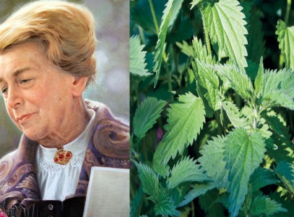 “Ha az emberek tudnánk, mennyi gyógyhatása van a csalánnak, csak csalánt termesztenének” – Maria Treben