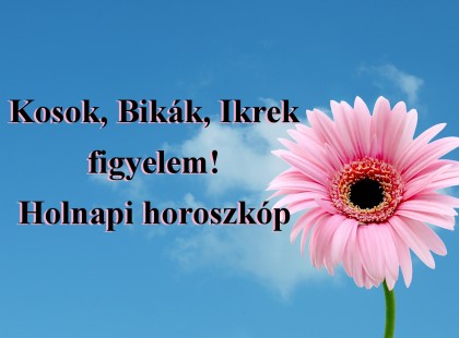 Kosok, Bikák, Ikrek figyelem! Holnapi horoszkóp