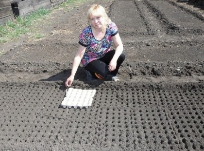 Ennyire egyszerű még nem volt a vetés - Pár perc alatt kész az ágyás, ha így csinálod!