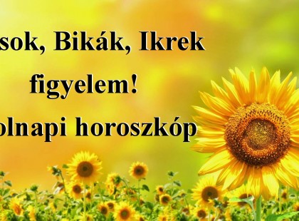 Kosok, Bikák, Ikrek figyelem! Holnapi horoszkóp