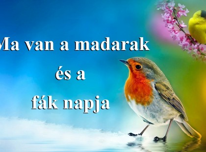Ma ünnepeljük a Madarak és Fák Napját! Óvjuk együtt természeti értékeinket!