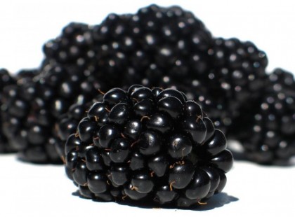 Ezt jobb, ha tudod a fekete szederről, mielőtt megeszed